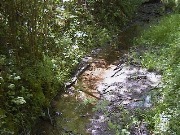 Der M&uuml;hlbach verl&auml;sst den Wald