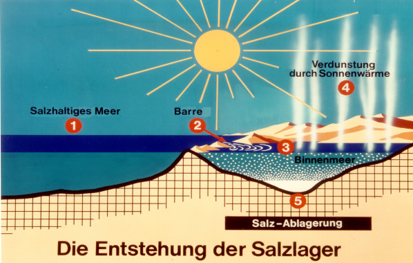 Entstehung der Salzlagerst&auml;tten